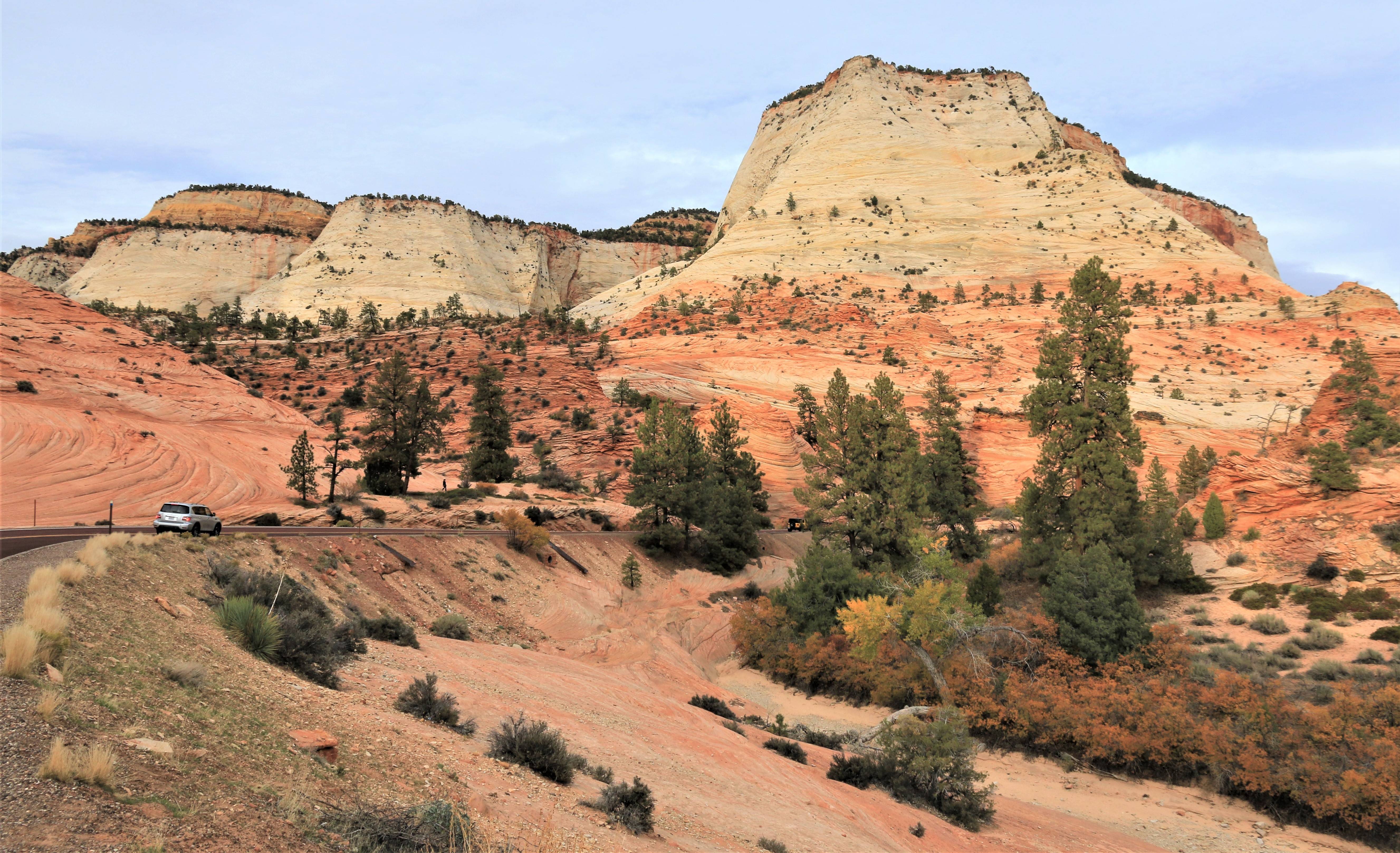 Zion NP